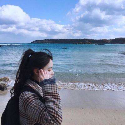 口袋训练师qq登录版本下载